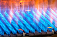 Waen gas fired boilers