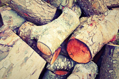 Waen wood burning boiler costs